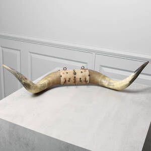 VÄGGHÄNGARE, av kohorn