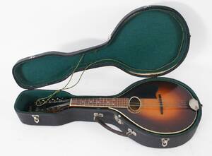 Mandolin, Levin