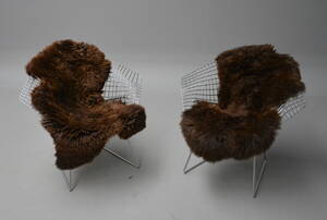 To europæiske lammeskind 2