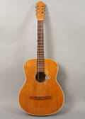 Levin akustisk gitarr