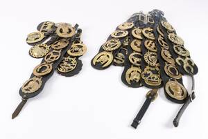 Samling horsebraces  14