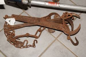 Parti björnar, ca 4 st