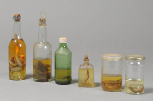 Hugorm m.m. 6 dyr i glas. 1900-tallet. 6