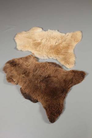 Islandske lammeskind af økologisk opdræt.2