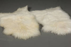 Islandsk fåreskind 2