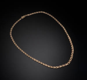 Panserhalskæde af guld - 17,3 gram