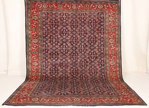 Persik matta. Mahal 405x300 cm