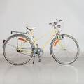 CYKEL dam Rex 28 3vxl
