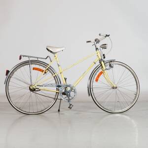 CYKEL dam Rex 28 3vxl