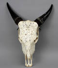 Kranie fra tyr med udskæringer