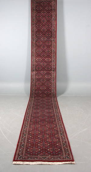 Kashmir Herati, 598 x 78 cm
